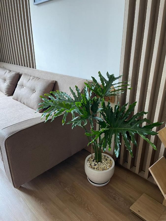 Căn Hộ Sky9 Tiện ích đầy đủ Cao Cấp - Liên Phường Quận 9 Bed & Breakfast TP. Hồ Chí Minh